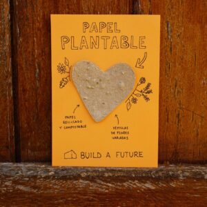 Corazón plantable - FLORES (ALISO/PRÍMULA)